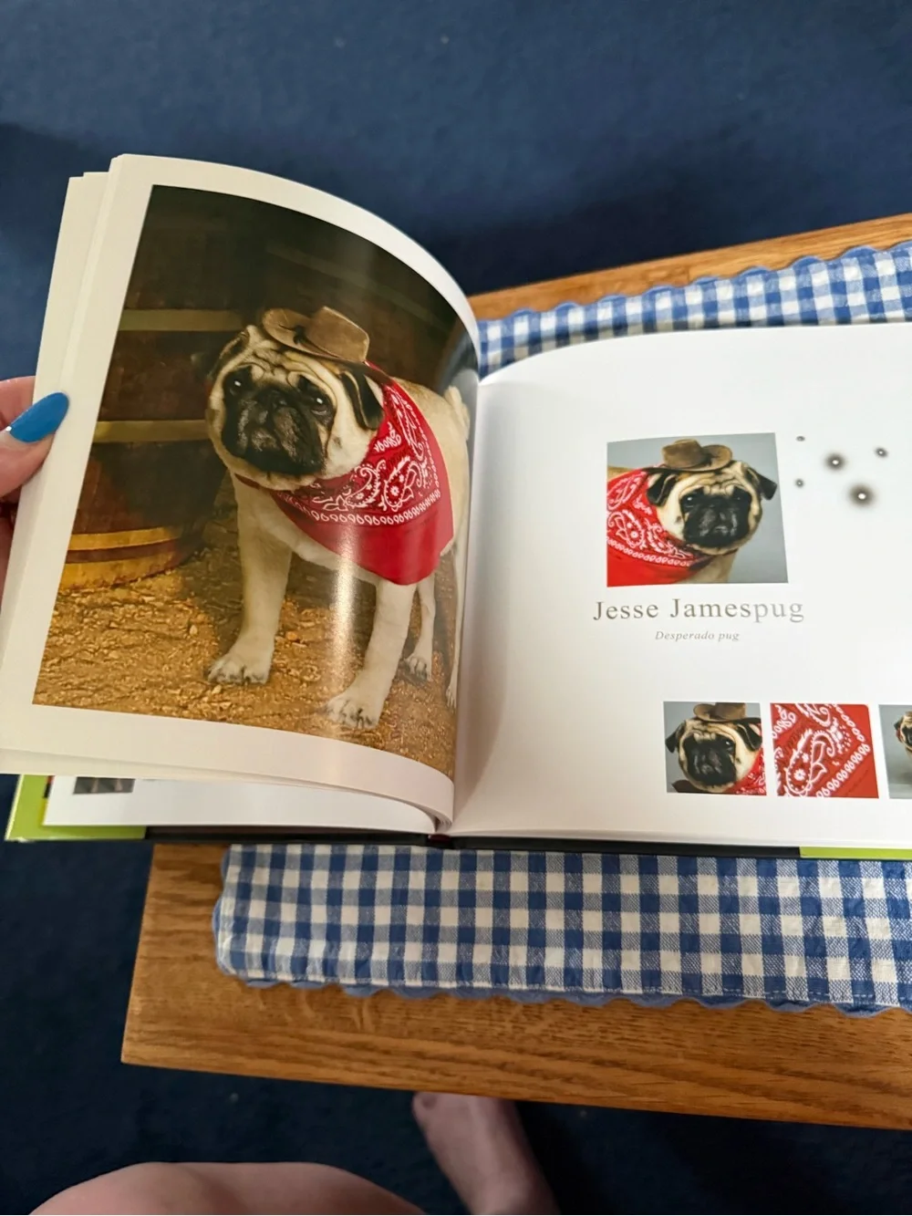 Fabulous Pugs by Lisa Knapp (2006, Hardcover)